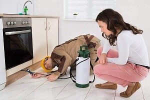 Expert Extermination Paris