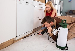 professionnel extermination nuisibles paris ile de france